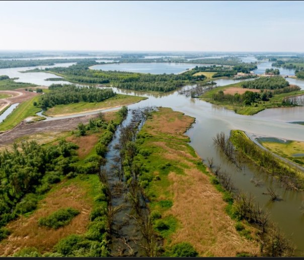 Biesbosch overzicht