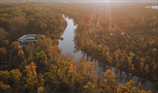 Dordrechtse biesbosch stayoky locatie